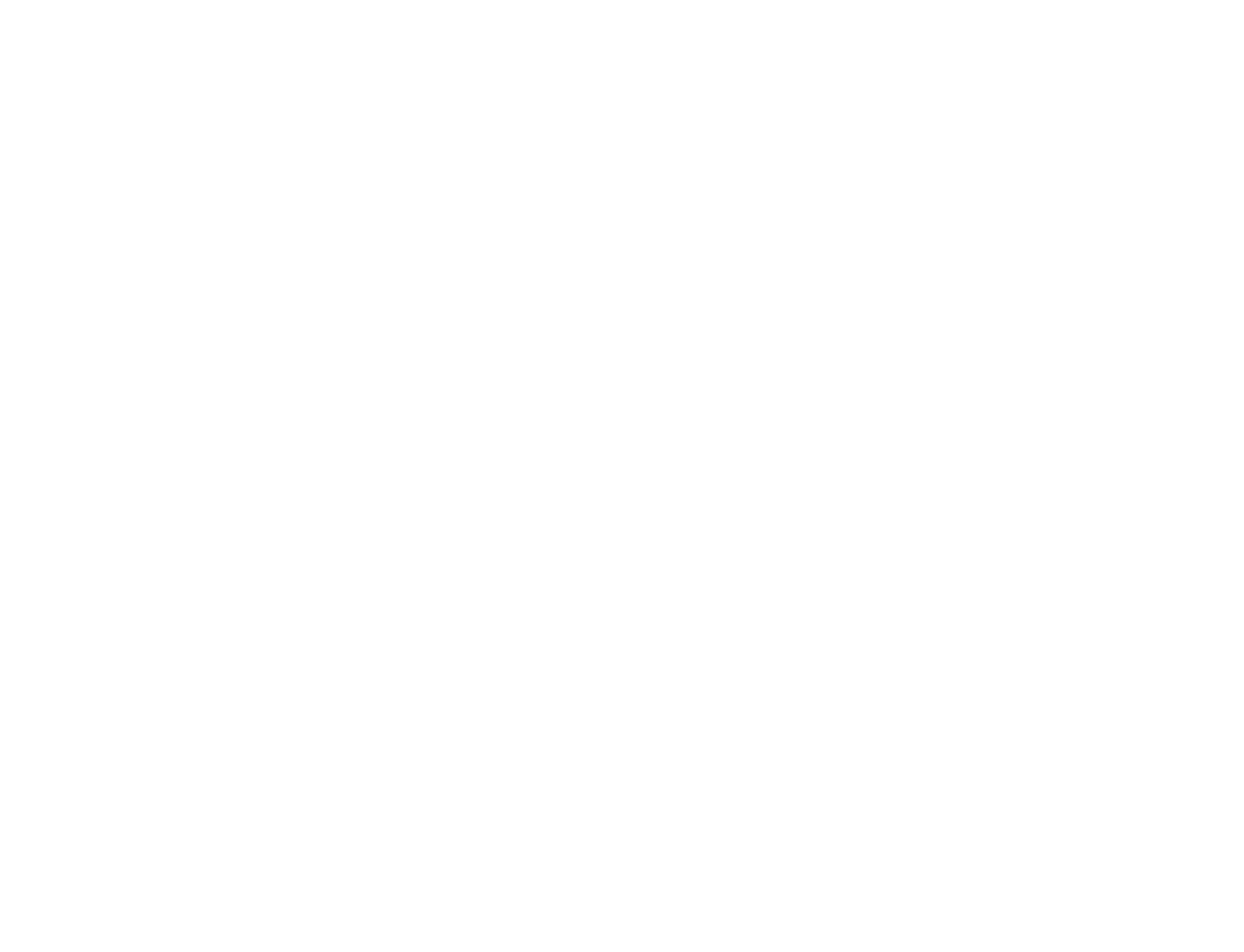 StarDeNight Logo
